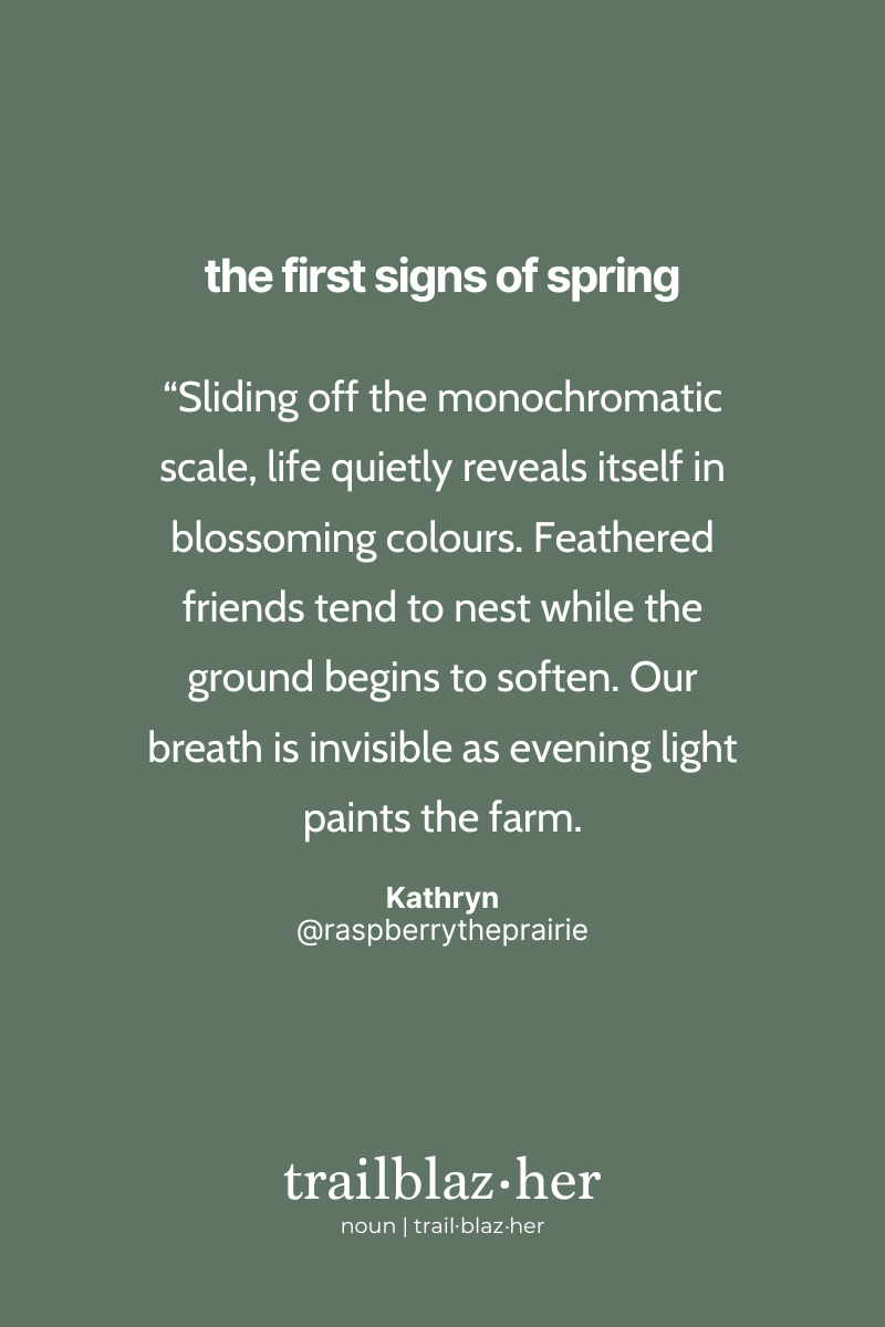 This image features a quote by Kathryn on an olive background, with a poetic description of the changing seasons as life shows itself in colors. It's part of a series titled "the first signs of spring," with the term "trailblaz.her" defined as a noun at the bottom.