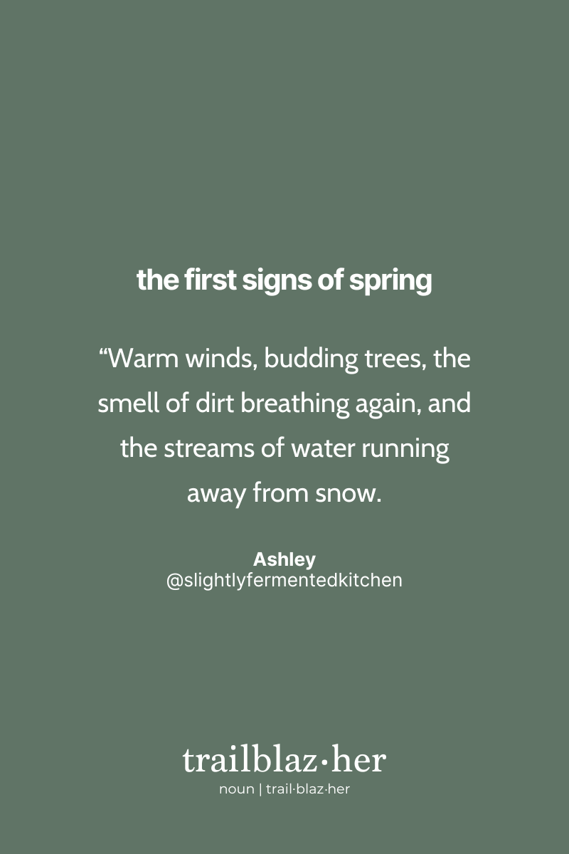 This image features a quote by Ashley on a sage green background. It discusses the warm winds and budding trees of spring, as well as the water streams created by melting snow. The series title "the first signs of spring" is at the top, and the word "trailblaz.her" appears at the bottom, identified as a noun.