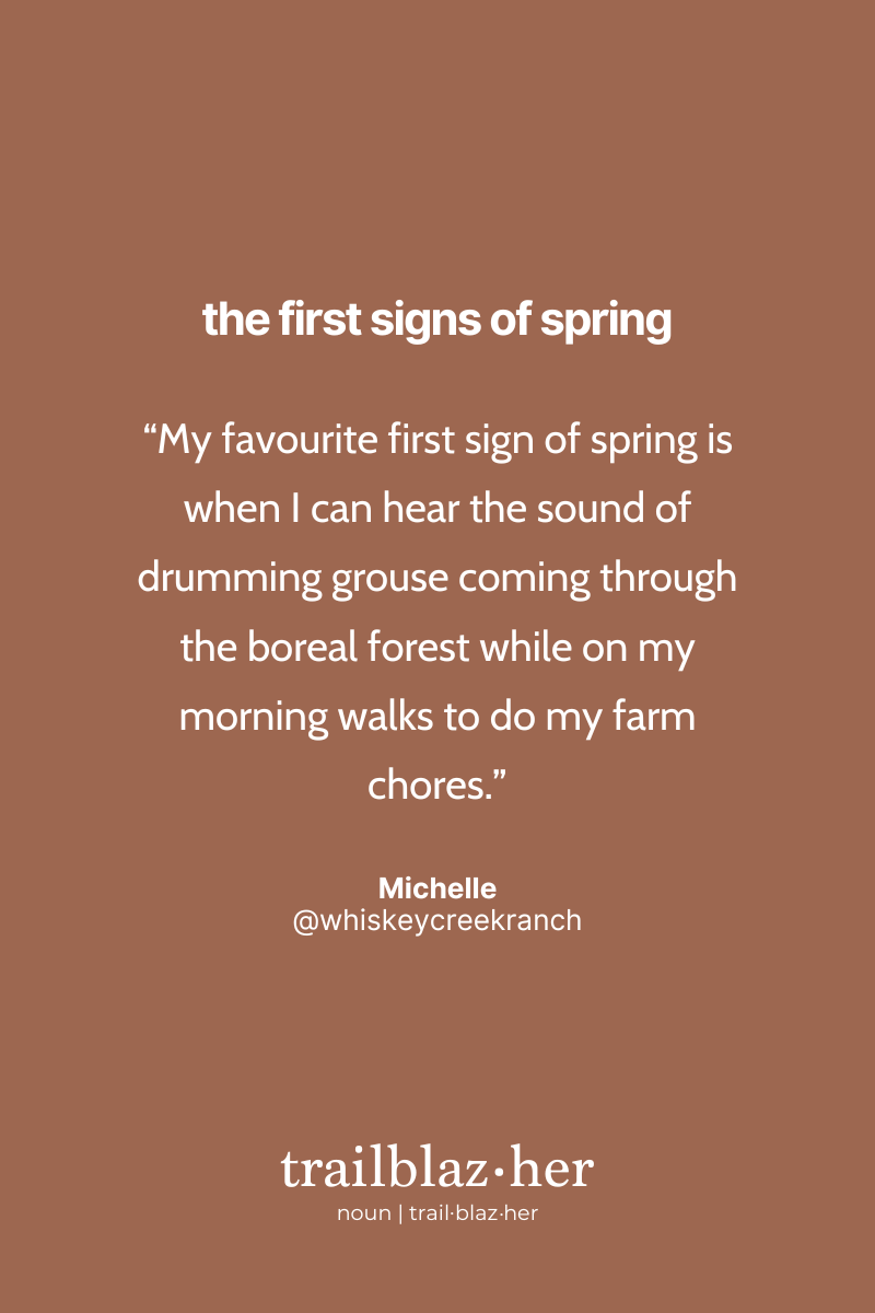 The graphic displays a quote by Michelle against a terracotta background, describing her favorite sign of spring heard in the boreal forest. The image is part of a series titled "the first signs of spring," with the term "trailblaz.her" featured as a noun at the bottom.