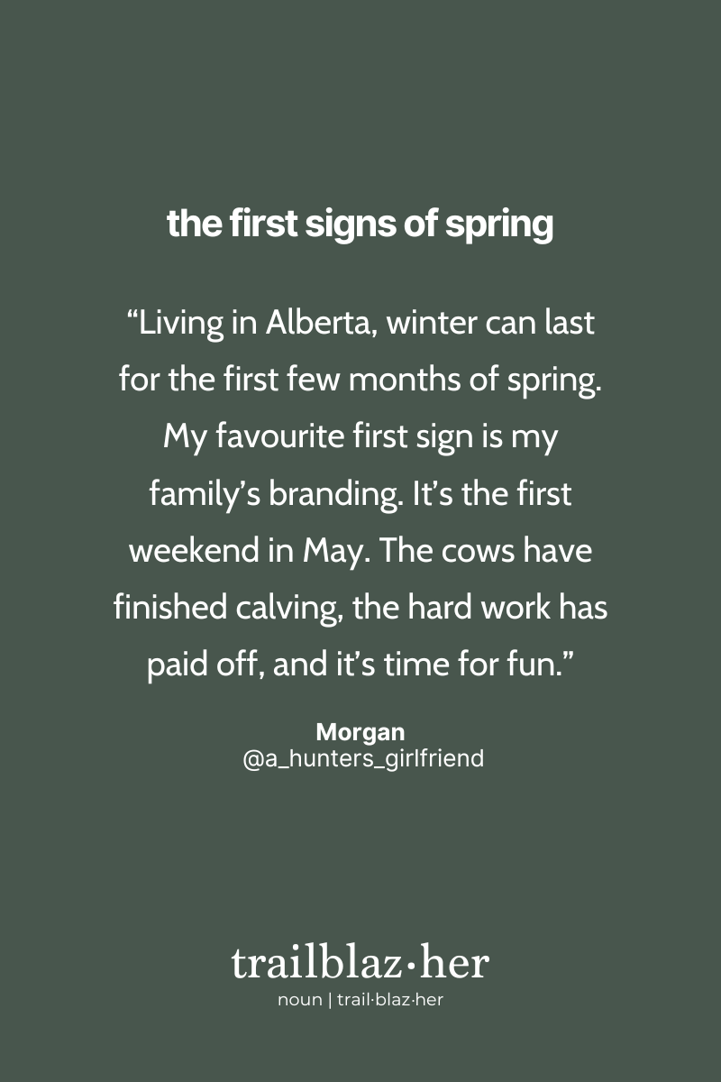 This image presents a quote by Morgan discussing the end of winter in Alberta, marked by family branding in May. The series title "the first signs of spring" is at the top, and "trailblaz.her" is noted as a noun at the bottom, all on a muted blue background.