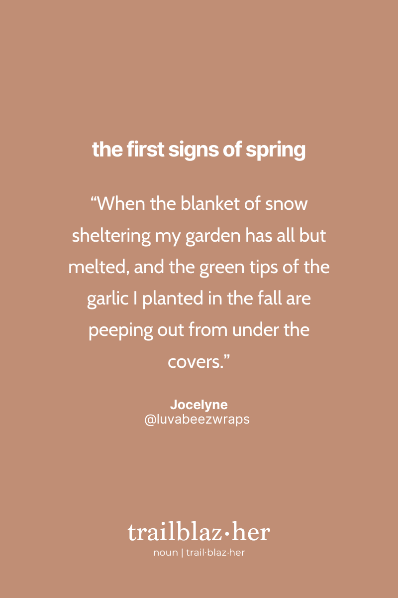 On a light brown background, Jocelyne's quote describes the emergence of garlic in her garden as a sign of spring. The recurring series title "the first signs of spring" is placed at the top, and the term "trailblaz.her" is defined as a noun at the bottom.