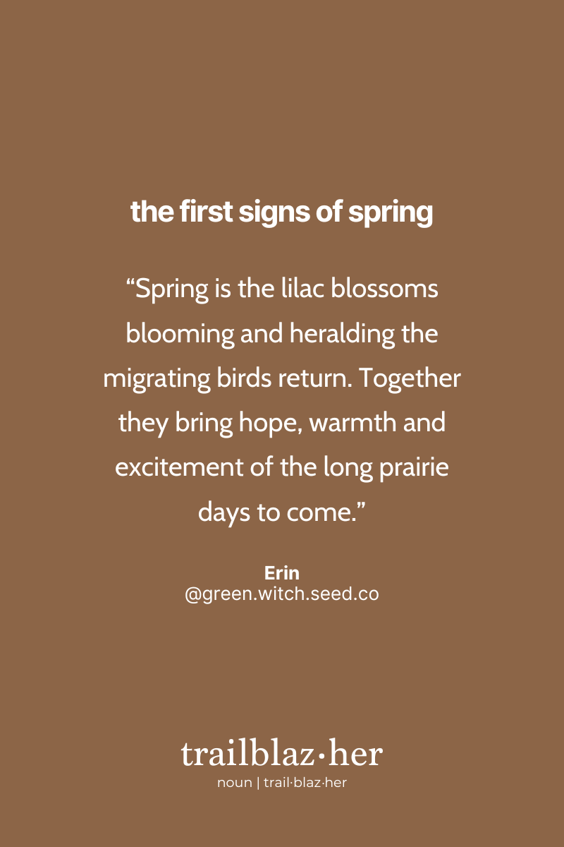 The image has a quote by Erin celebrating lilac blossoms and the return of migratory birds in spring, set on a dusky pink background. The series title "the first signs of spring" is at the top, and "trailblaz.her" is described as a noun at the bottom.