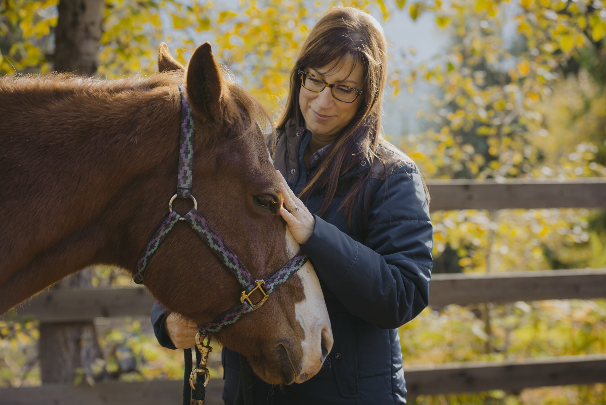 A women in a blue jacket with long brown hair petting a horse's head with a purple halter.