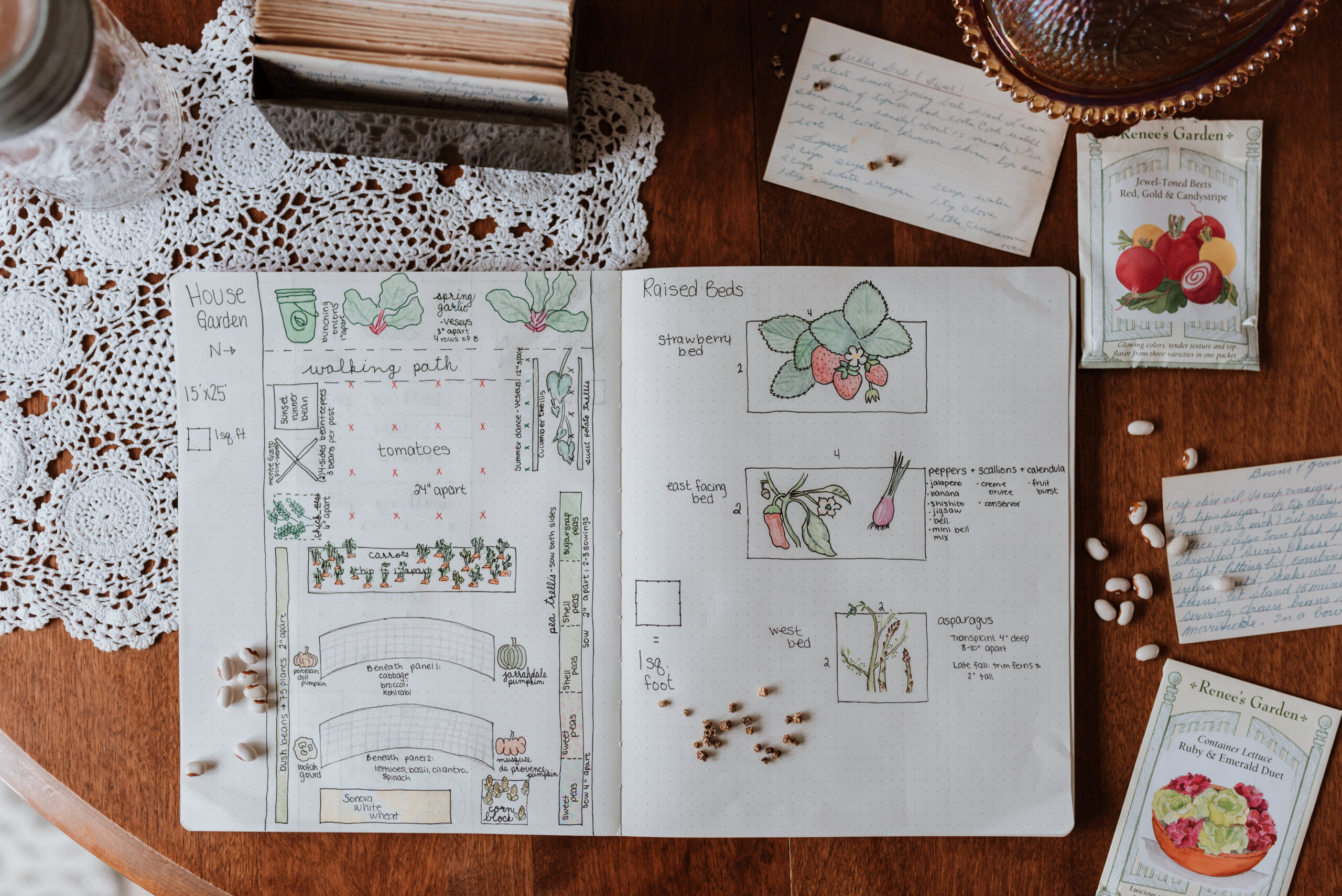 An open notebook with a detailed hand-drawn garden plan, including plant illustrations and notes.
