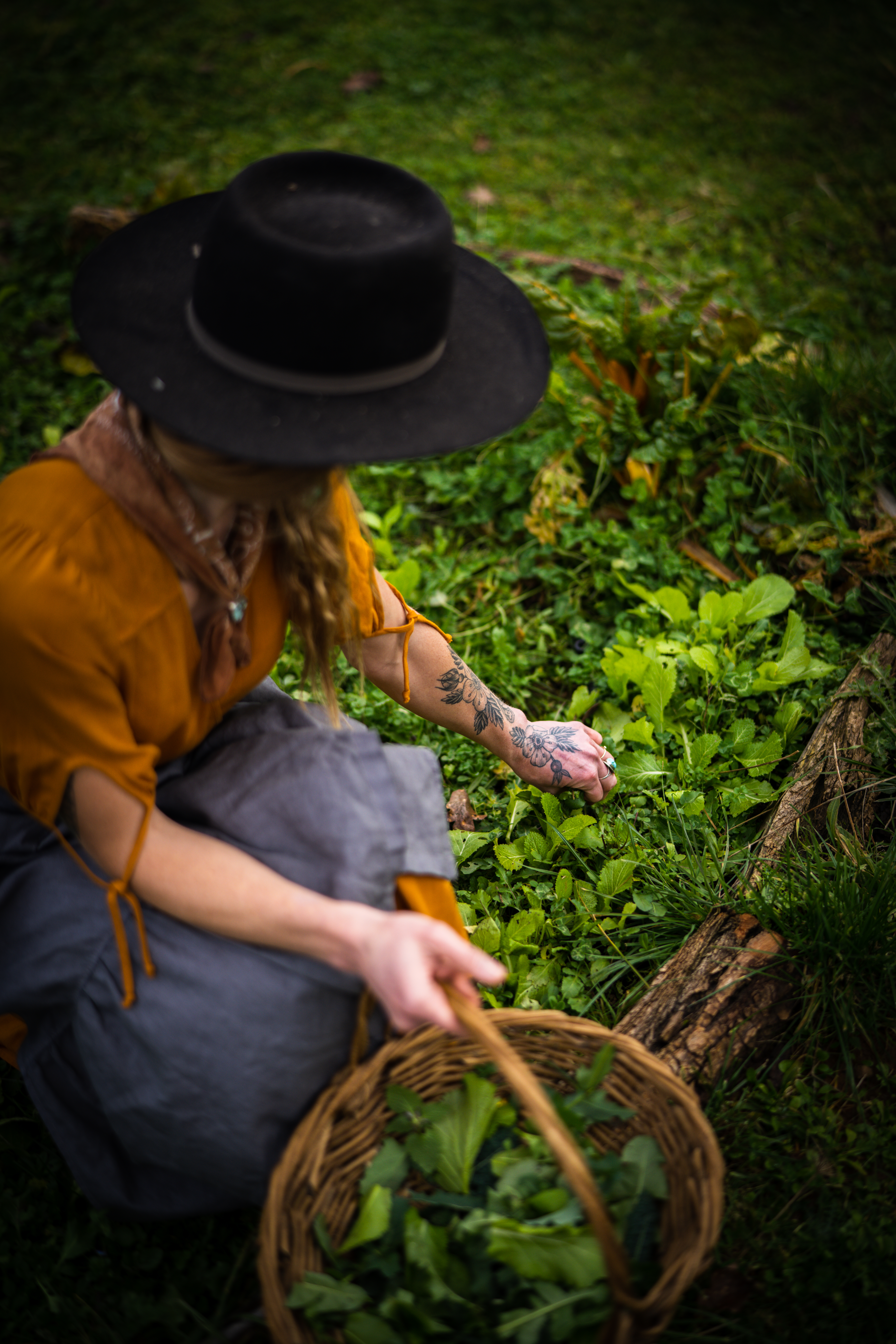 woman in a black hat picking salad greens from a garden in the spring