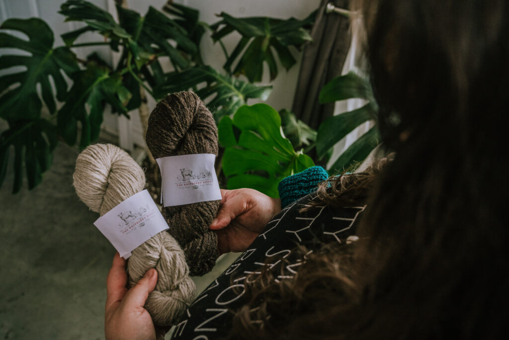 Close-up of a person's hands holding two skeins of wool yarn labeled "The Raspberry Roost" with a houseplant in the background.
