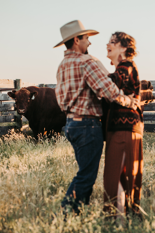 A man and woman dance in a field of grass, laughing with cows behind them