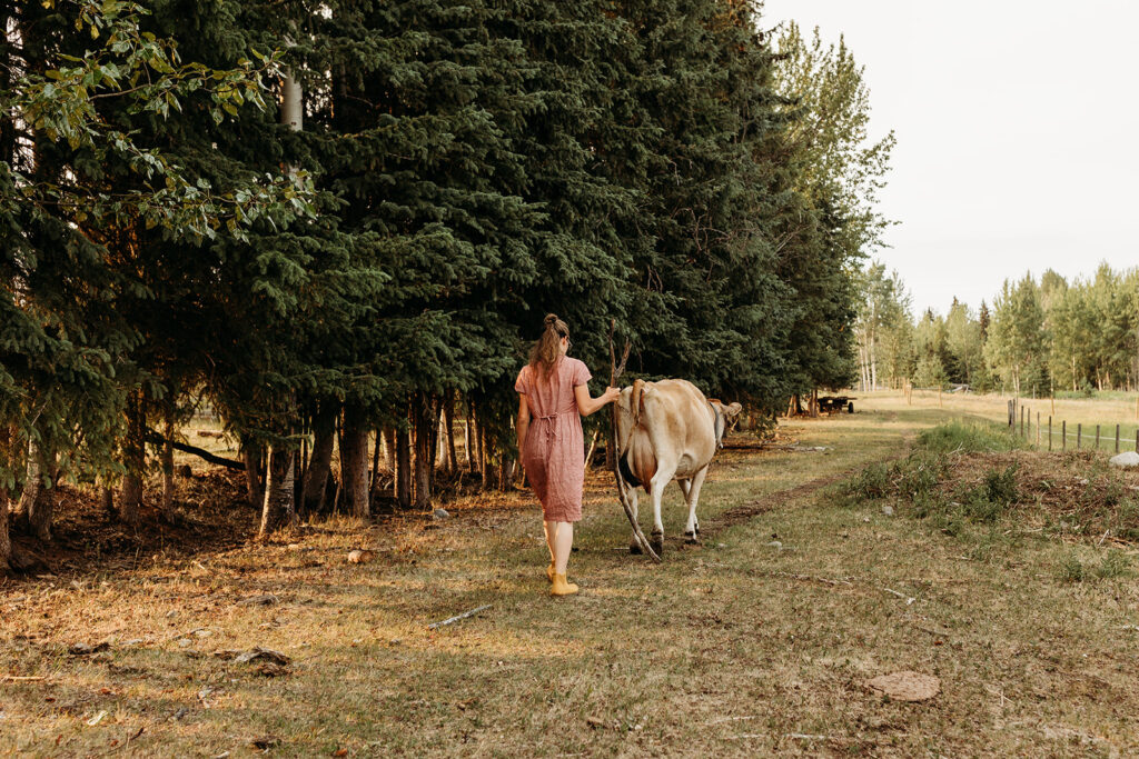 Kate walks with her cow down a grassy trail with trees on the left